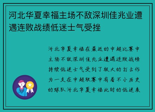 河北华夏幸福主场不敌深圳佳兆业遭遇连败战绩低迷士气受挫